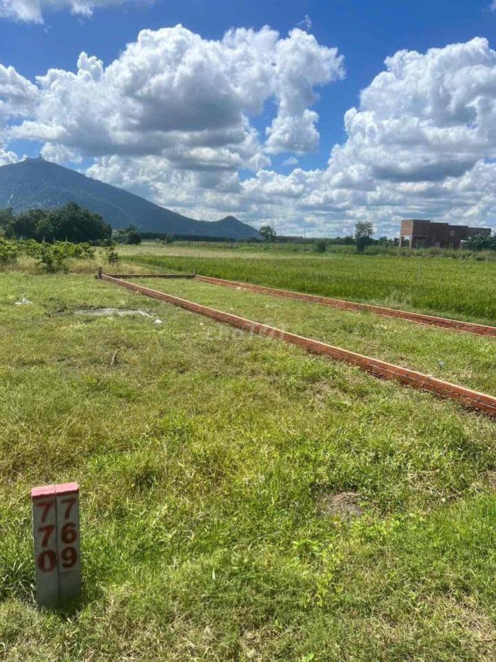 Cho thuê 120m2 đất mặt tiền tây ninh giá 2tr