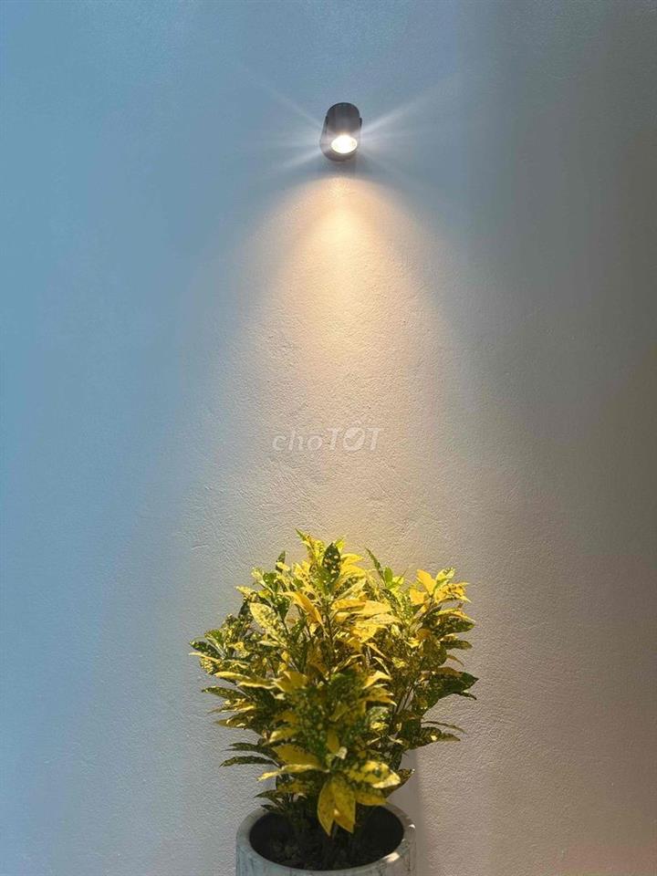 cho thuê mặt tiền kinh doanh