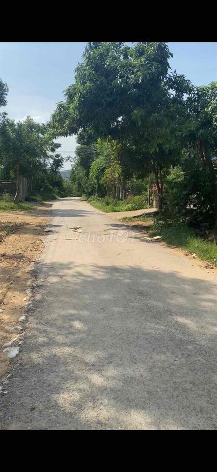 bán đất mặt đường nhựa liên xã tại xã nam hoà tỉnh thái nguyên