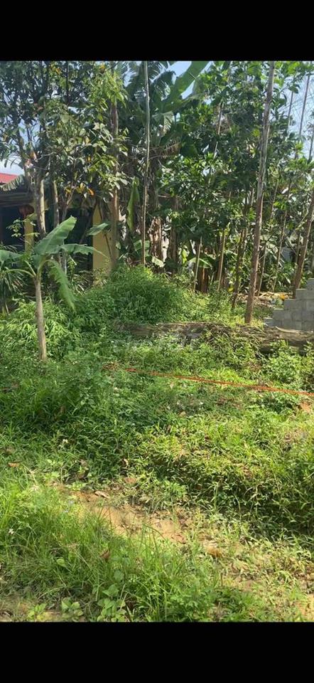 bán đất mặt đường nhựa liên xã tại xã nam hoà tỉnh thái nguyên