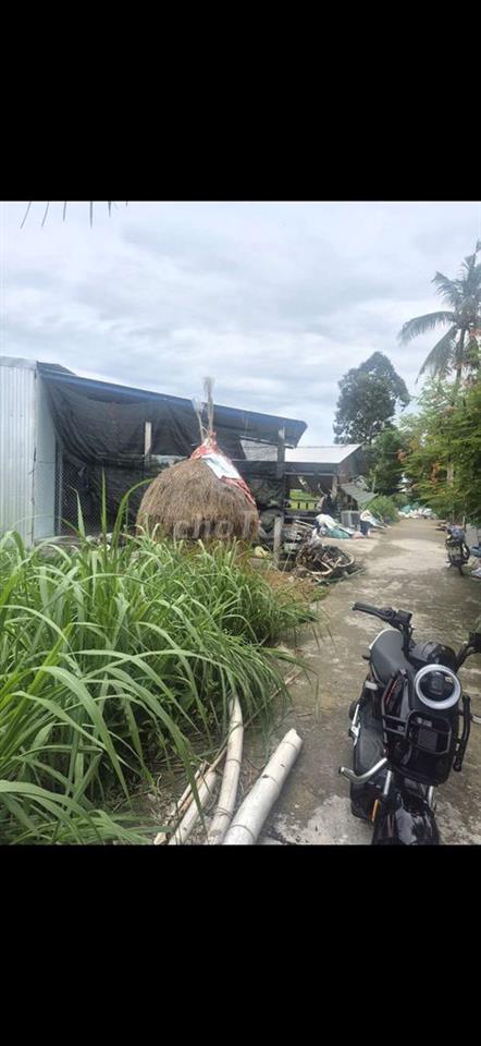 cần bán đất tịnh ấn tây
