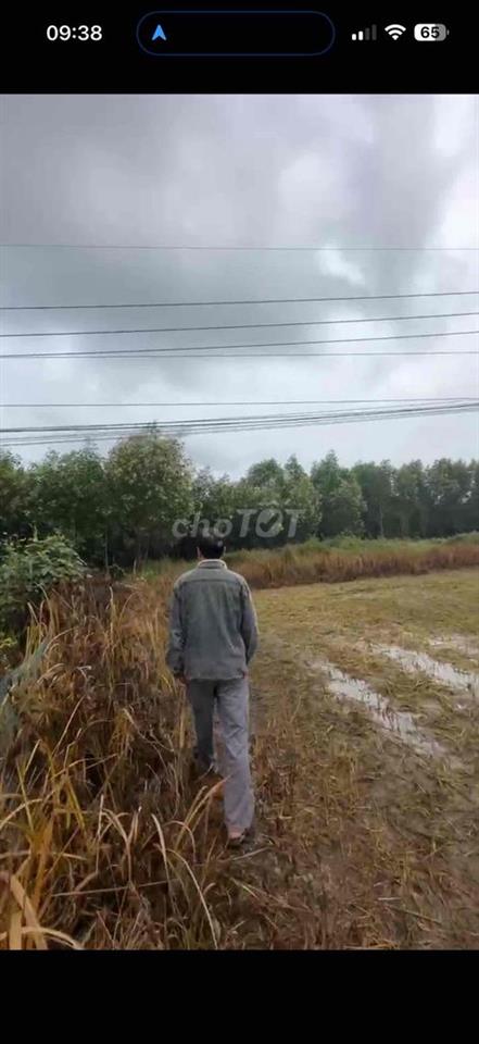 Cần Tiền Bán Gấp