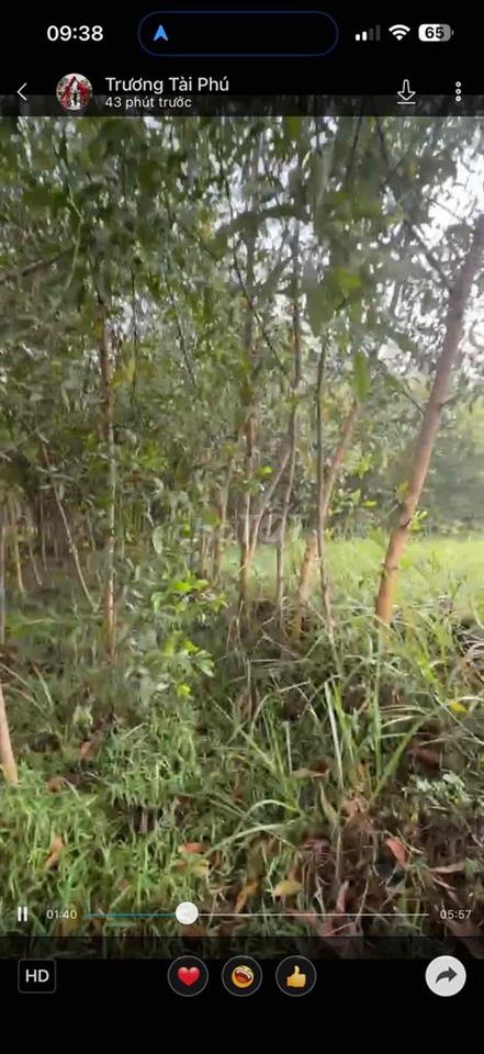 Cần Tiền Bán Gấp