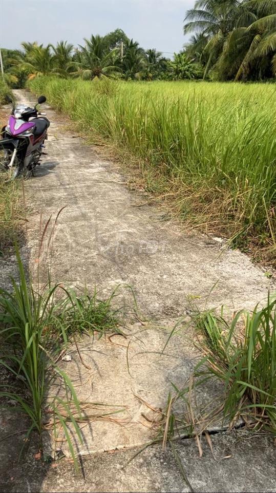 Đất đẹp gần khu công nghiệp giao long