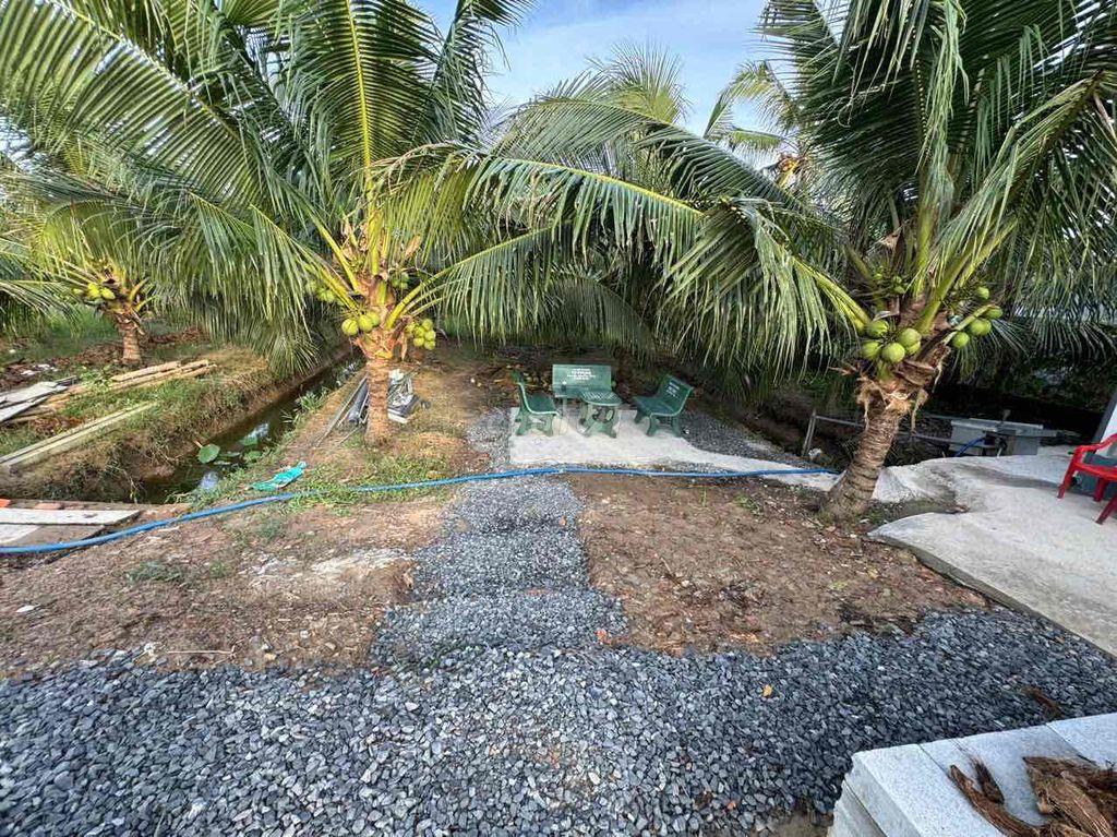Đất nhà mặt tiền,full dừa xiêm,gần KCN và Cao tốc 33