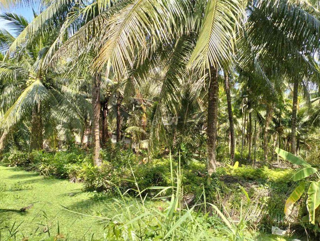 Đất nhà cần bán 1224,4m sẵn thổ cư 300m tại (Ấp 4, aChâu Bình, Giồng T