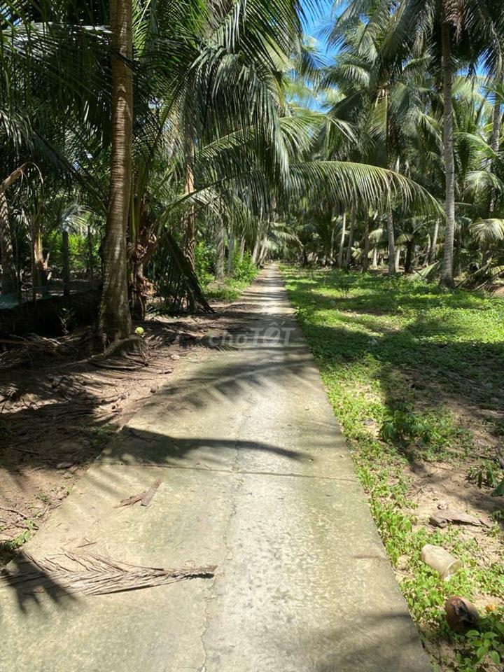 Đất chính chủ cần bán