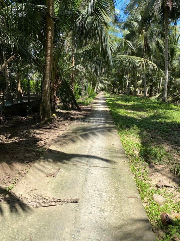 Đất chính chủ cần bán
