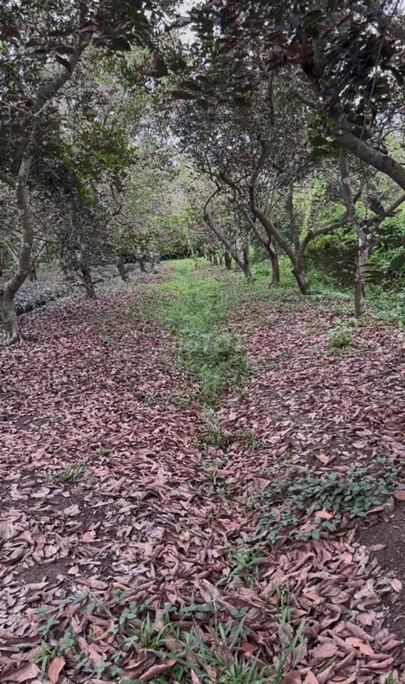 Đất xã Tân Phú 2200m2