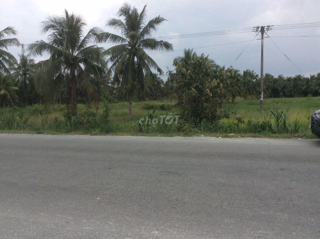 Đất nhà, vị trí mặt tiền rất đẹp, tiềm năng, K.doanh tiện lợi, giá rẻ.