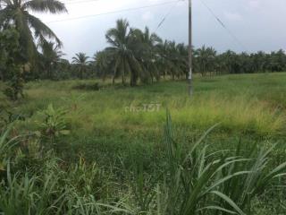 Đất nhà, vị trí mặt tiền rất đẹp, tiềm năng, K.doanh tiện lợi, giá rẻ.