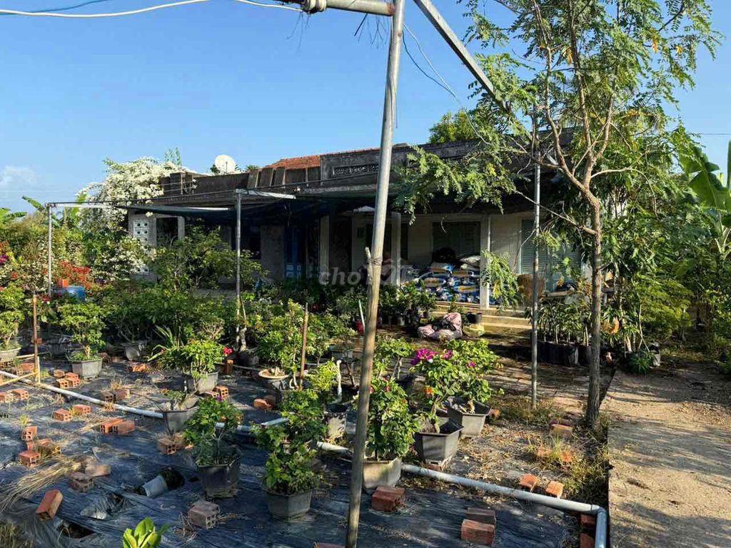 Cần bán 11.000m2 đất trồng sầu riêng thổ cư 300m2