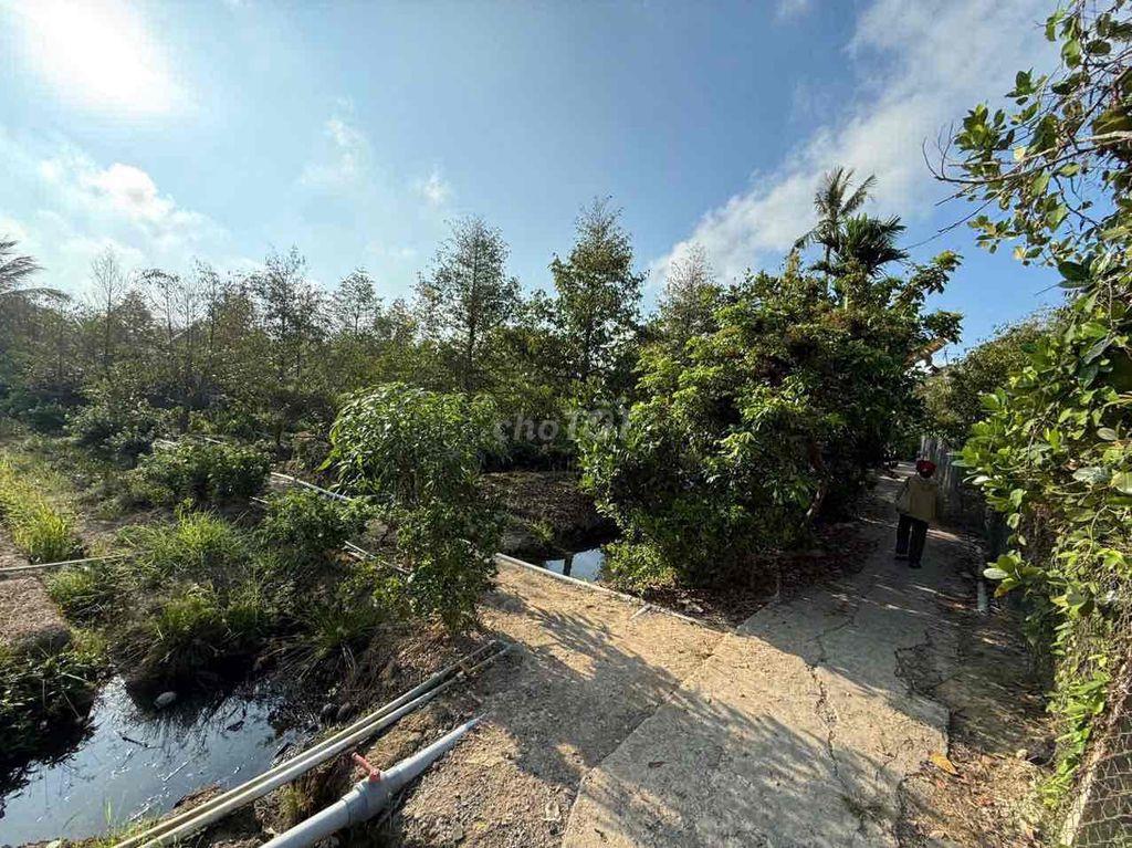 Cần bán 11.000m2 đất trồng sầu riêng thổ cư 300m2