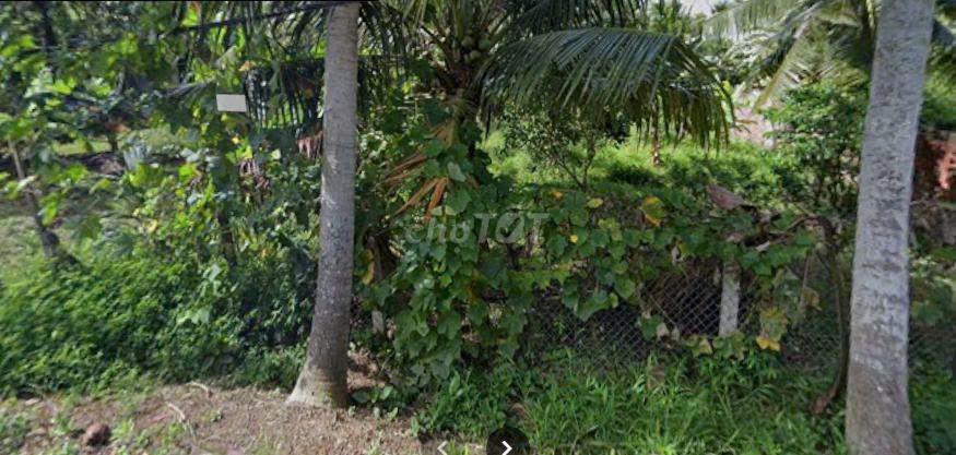 bán gấp đất nền đẹp có thổ cư 100m2