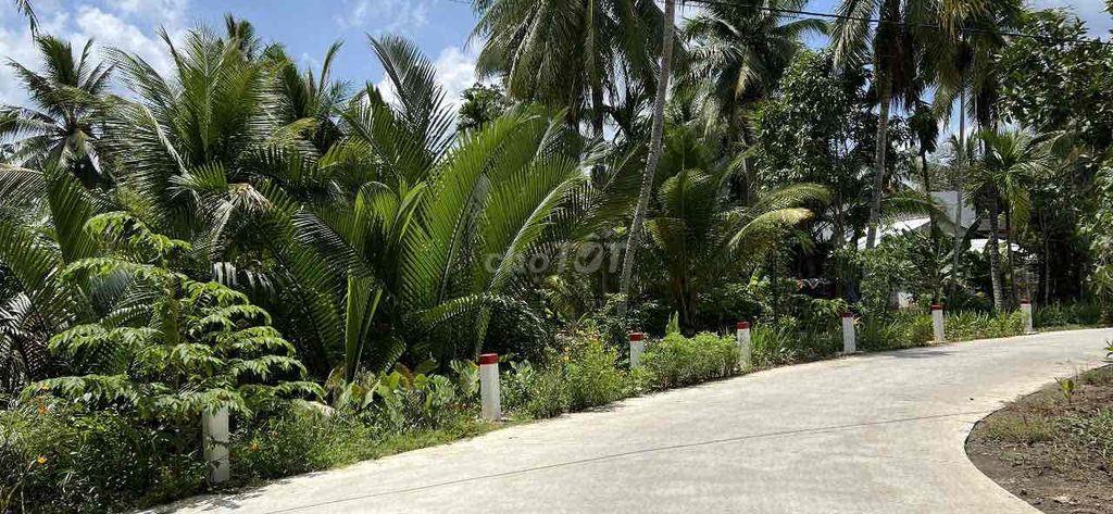 bán đất vườm tại bến tre