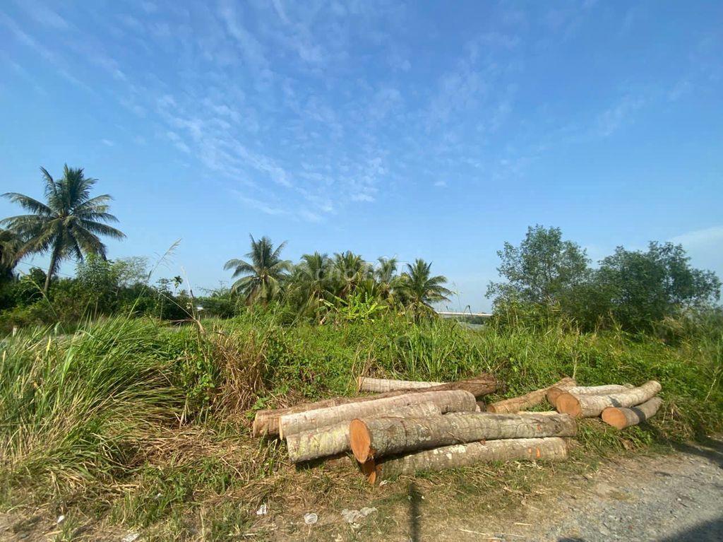BÁN ĐẤT GẦN CẦU RẠCH MIỄU – VIEW SÔNG TIỀN - đẹp