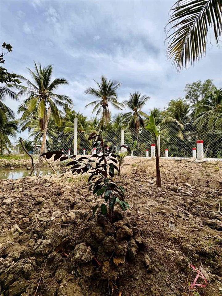 Đất Sơn Đông Bến Tre