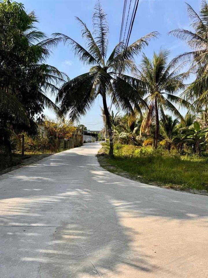 Đất Sơn Đông Bến Tre