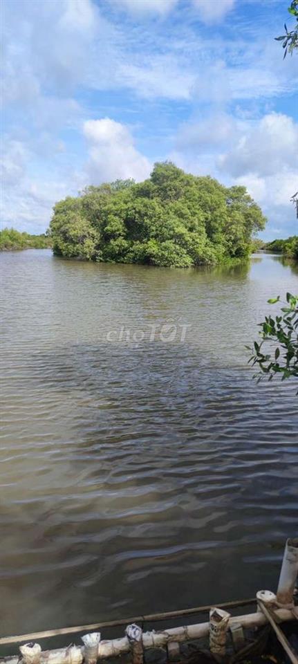 Cần bán đất nuôi thủy sản!