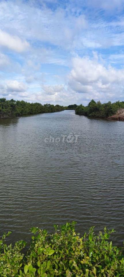 Cần bán đất nuôi thủy sản!