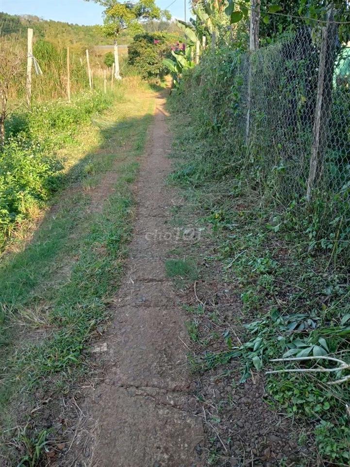 Cần bán mảnh đất 2 mặt tiền
