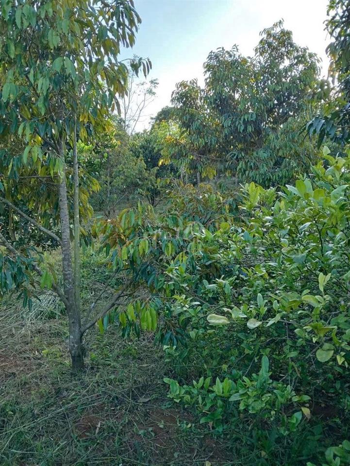 Cần bán mảnh đất 2 mặt tiền