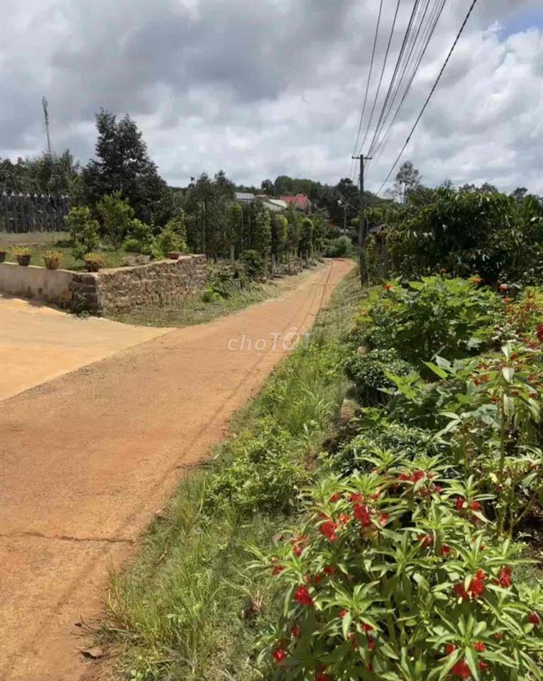BÁN ĐẤT THỔ CƯ CHÍNH CHỦ