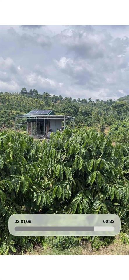 Bán Đất Cafe diện tích 1hec1 cách dân cư 500m