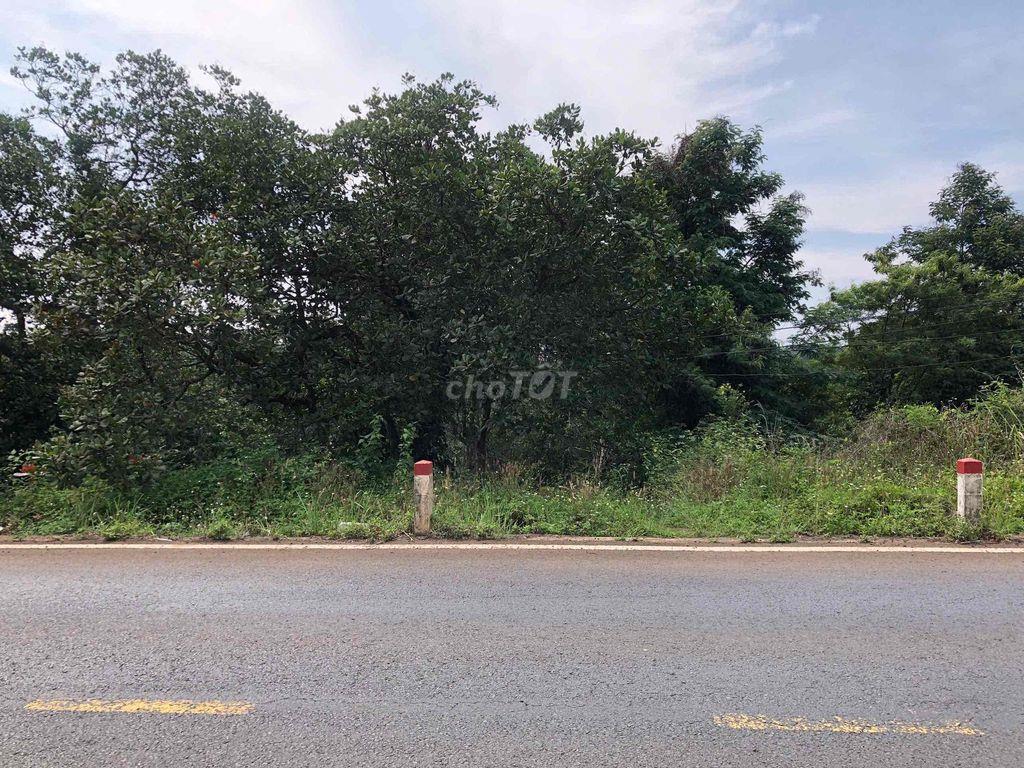 Bán đất mặt tiền đường tránh kho bãi