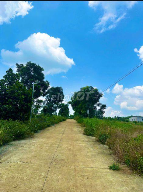 "BỎ PHỐ VỀ RỪNG" - SỞ HỮU DIỆN TÍCH 500 M2 FULL THỔ CƯ TẠI ĐĂK NÔNG