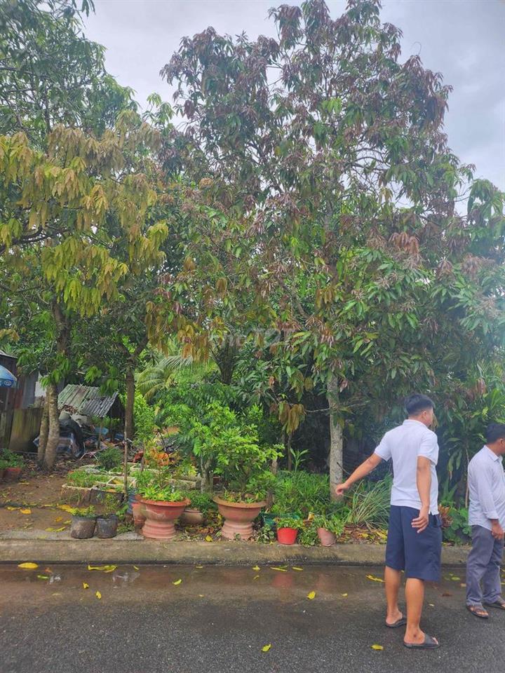 Nhà Cấp 4 Bán Rẻ