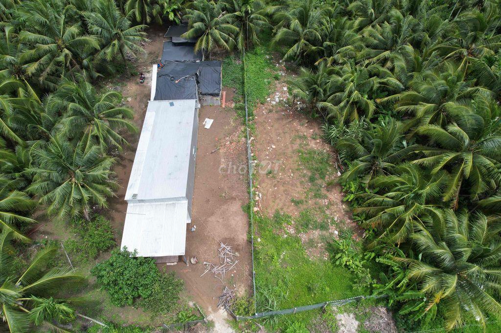 Cần bán nhanh lô đất 1000m2 Khóm 2 Thị Trấn Càng Long , Đường mới CL