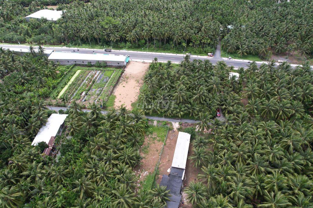 Cần bán nhanh lô đất 1000m2 Khóm 2 Thị Trấn Càng Long , Đường mới CL