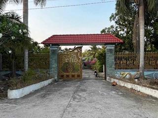BÁN NHÀ VƯỜN - TÂN NGÃI VĨNH LONG 2428m2 ( FULL THỔ CƯ )