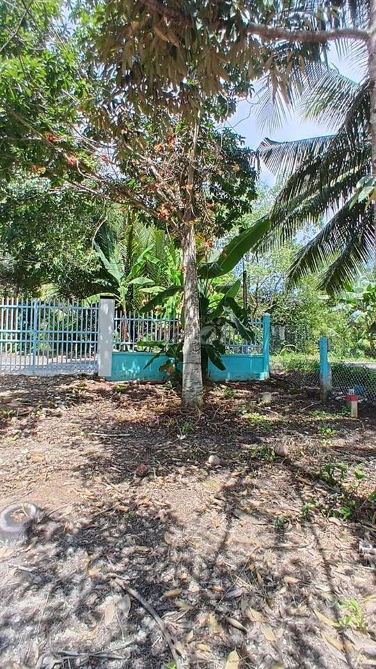 Đất mặt tiền đường Dh25C ,đất được 200m thổ cư 
