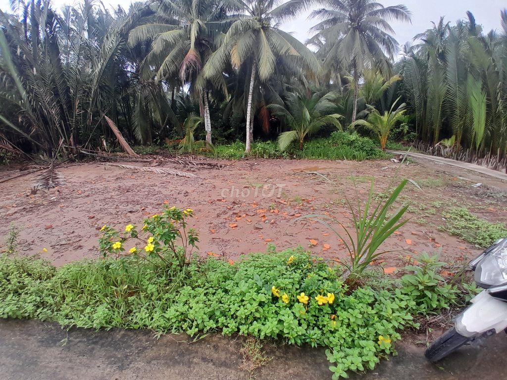Chính chủ bán đất thổ cư view sông nở hậu