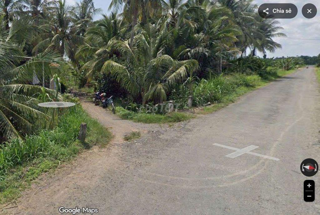 Bán đất vườn dừa