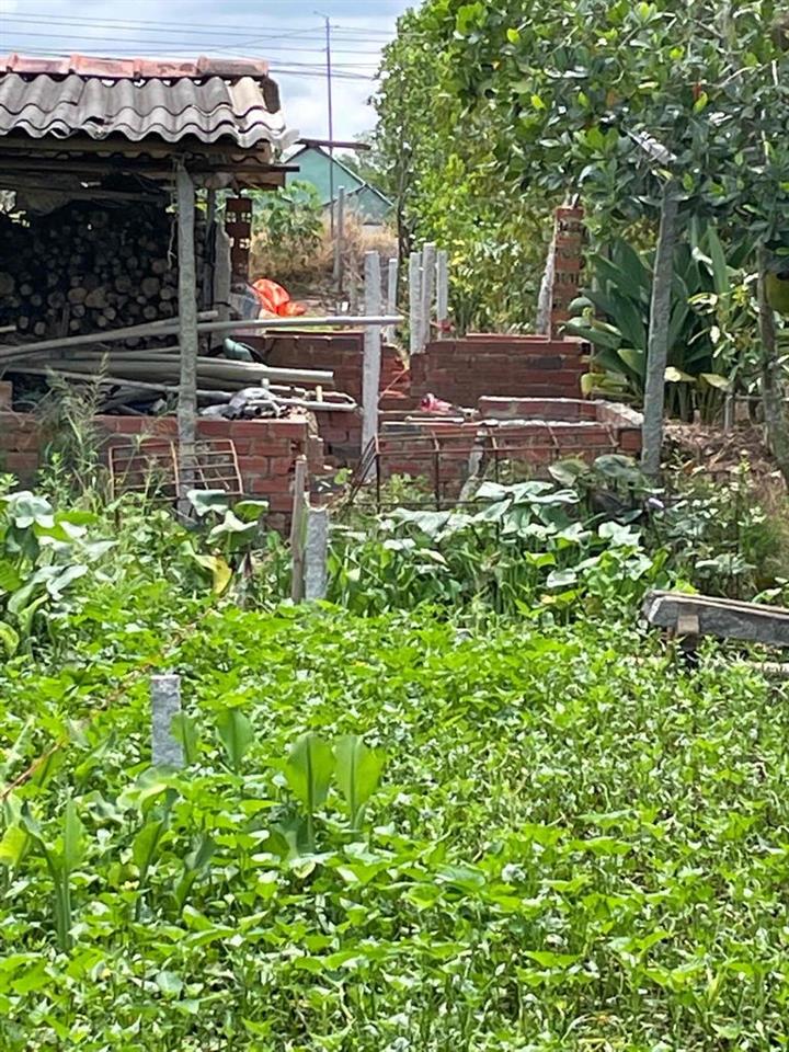 ĐẤT VƯỜN CHÍNH CHỦ CẦN BÁN GẤP GIẢM GIÁ SÂU