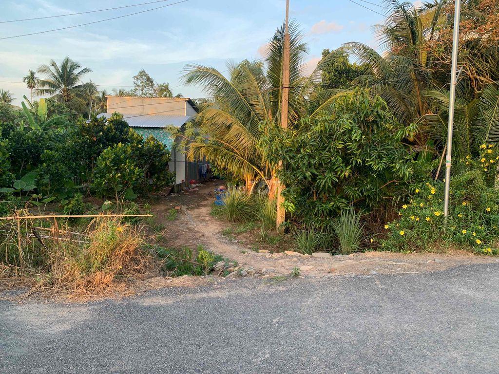 đất cây lâu năm