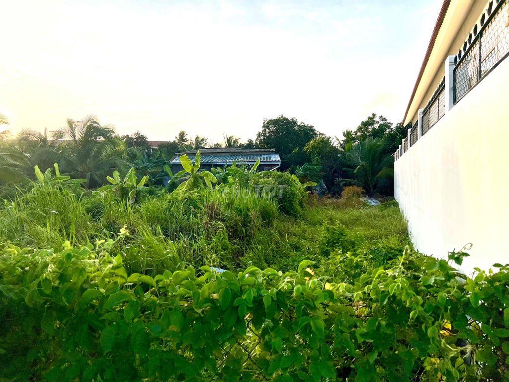 Bán nền full thổ cư - Đường nhựa xe ô tô cách Đường Nguyễn Văn Nhung