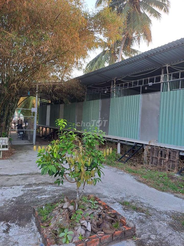 phòng trọ ngay chợ ngã Cạn Tân Quới Vĩnh Long 