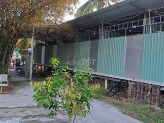 phòng trọ ngay chợ ngã Cạn Tân Quới Vĩnh Long 
