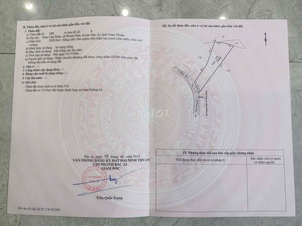 đất trồng cây tốt mù đất phước hoà