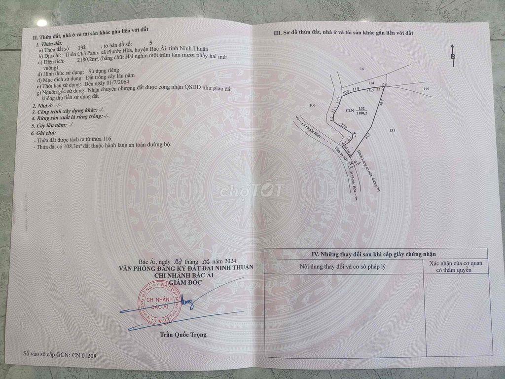 đất trồng cây tốt mù đất phước hoà