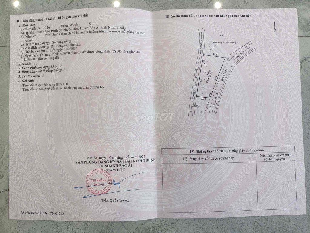đất trồng cây tốt mù đất phước hoà