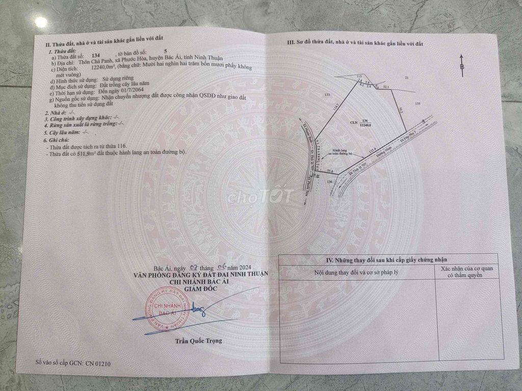 đất trồng cây tốt mù đất phước hoà