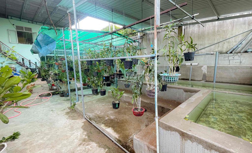 Bán nhà góc 2 MT đường 21-8 Đô Vinh, 792m2, 7tỷ900trieu