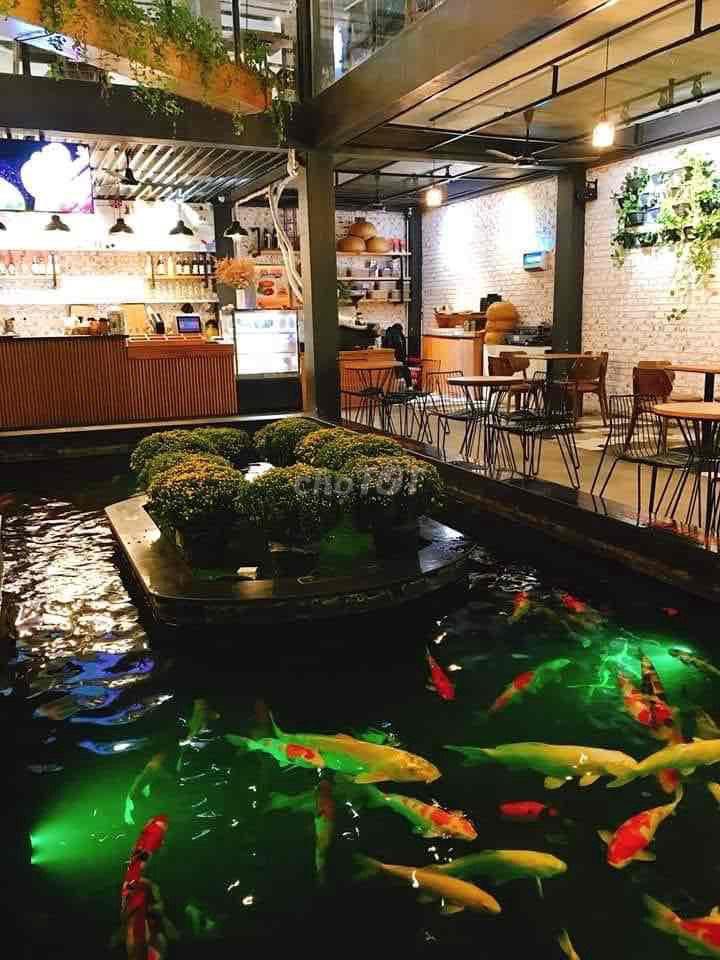 CẦN BÁN GẤP