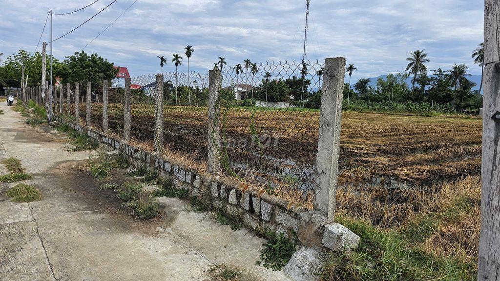 BÁN ĐẤT LÚA – THÔN AN NHƠN, XÃ XUÂN HẢI, TỈNH KHÁNH HÒA