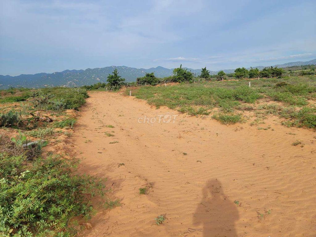 đất ven biển, mũi dinh, ninh thuận ( khánh hòa)